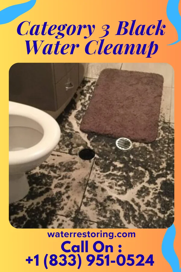 Category 3 Black Water Cleanup in Audubon Park, KY