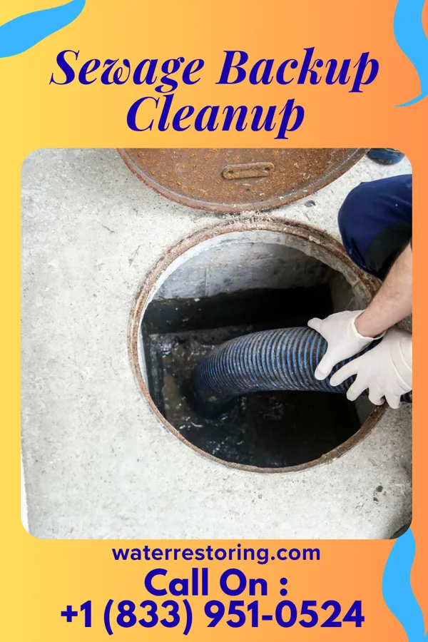 Sewage Backup Cleanup in Audubon Park, KY