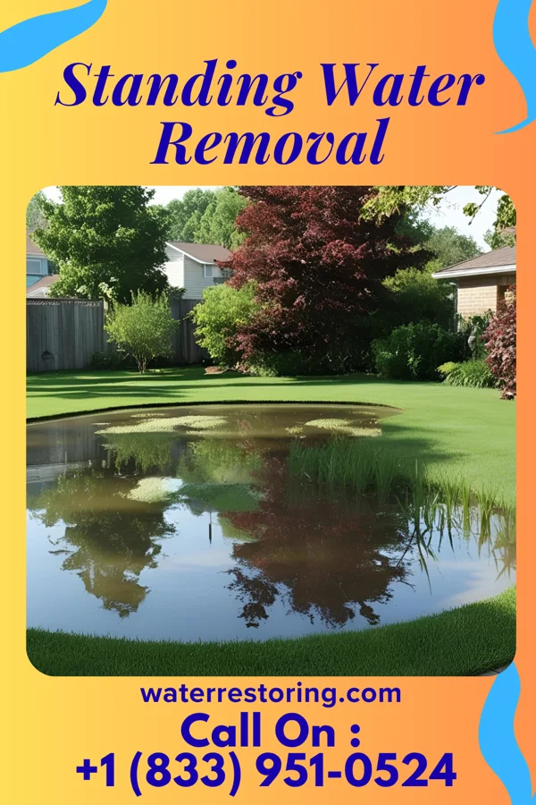 Standing Water Removal in Audubon Park, KY